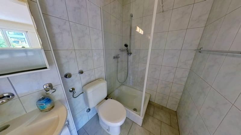 AgentSelly - Grosszügige Parterre-Wohnung mit Terrasse (9)