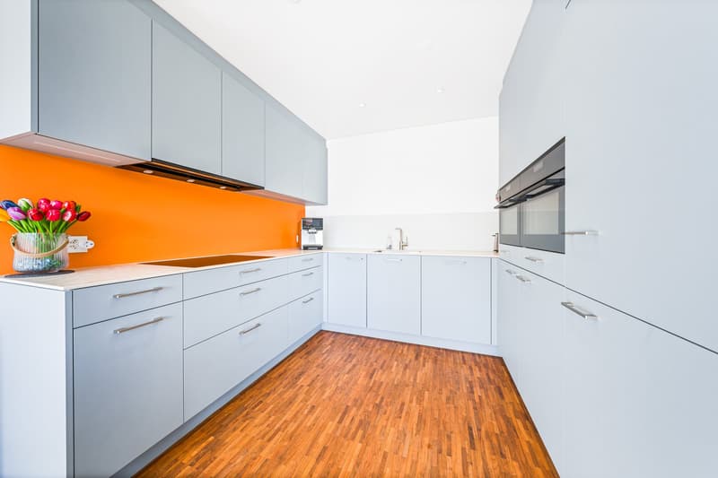 RESERVIERT: Grosszügige Wohnung mit modernem Ausbau (7)