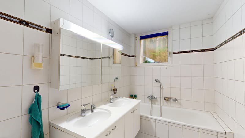 AgentSelly - Grosszügige Wohnung mit grosser Terrasse (9)