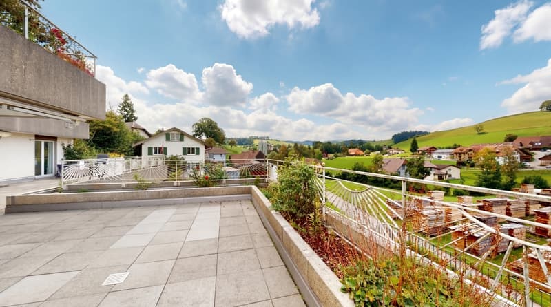 AgentSelly - Grosszügige Wohnung mit grosser Terrasse (11)