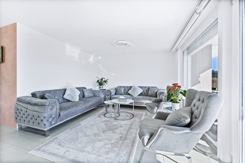 Modernes Zuhause zum Wohlfühlen (1)