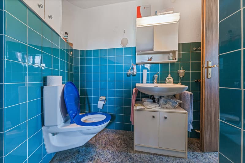 Ein Zuhause mit Geschäftserfolg (8)