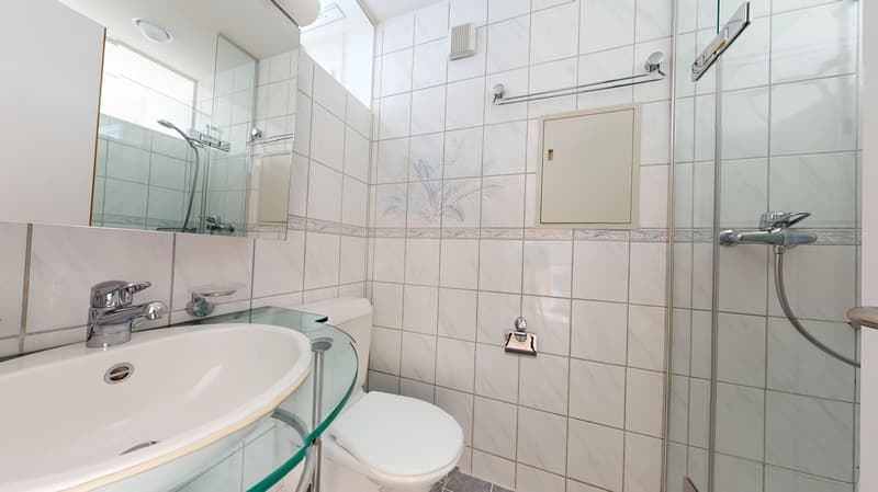 AgentSelly - Eine Investition fÃr ein gutes Zuhause (8)