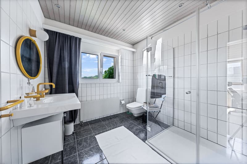 Wohngenuss in seiner schönsten Form (3)