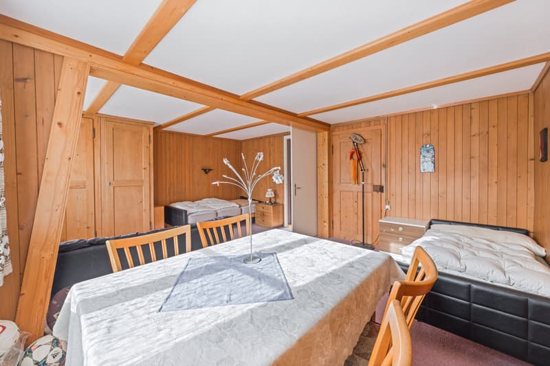 Haus mit Werkstatt und Einlegerwohnung (4)