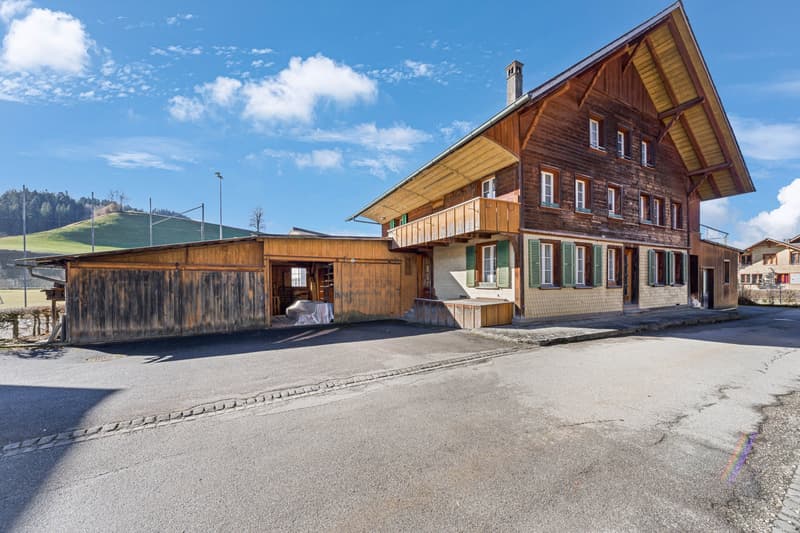 Haus mit Werkstatt und Einlegerwohnung (2)