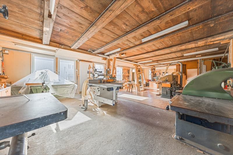 Haus mit Werkstatt und Einlegerwohnung (11)