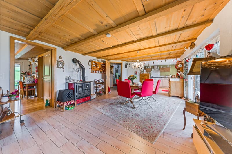 Zweifamilienhaus mit Weitblick (3)