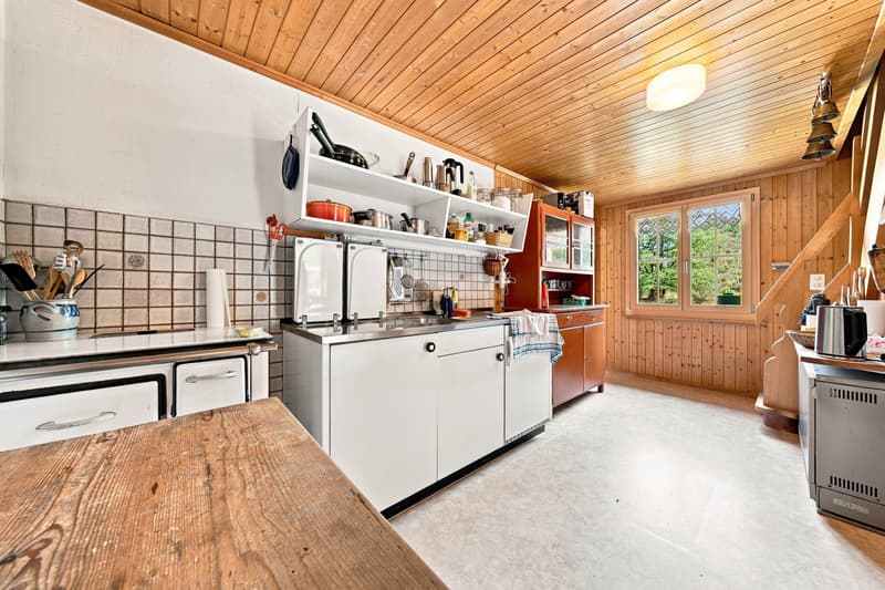 Wohnen mit Charme und Bergkulisse (4)