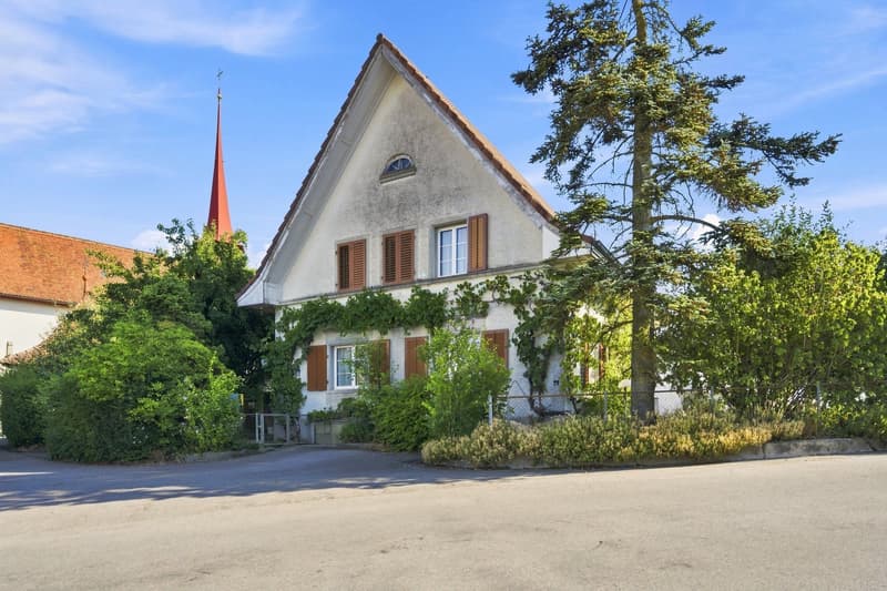 Charmantes Haus mit viel Potenzial (1)