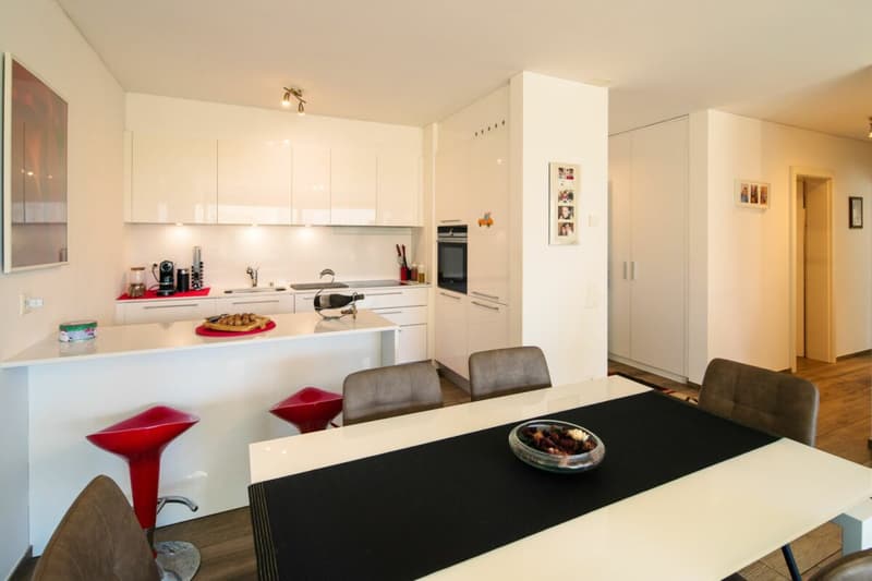 Esclusivo 3.5 locali con spaziosa terrazza Locarno (2)