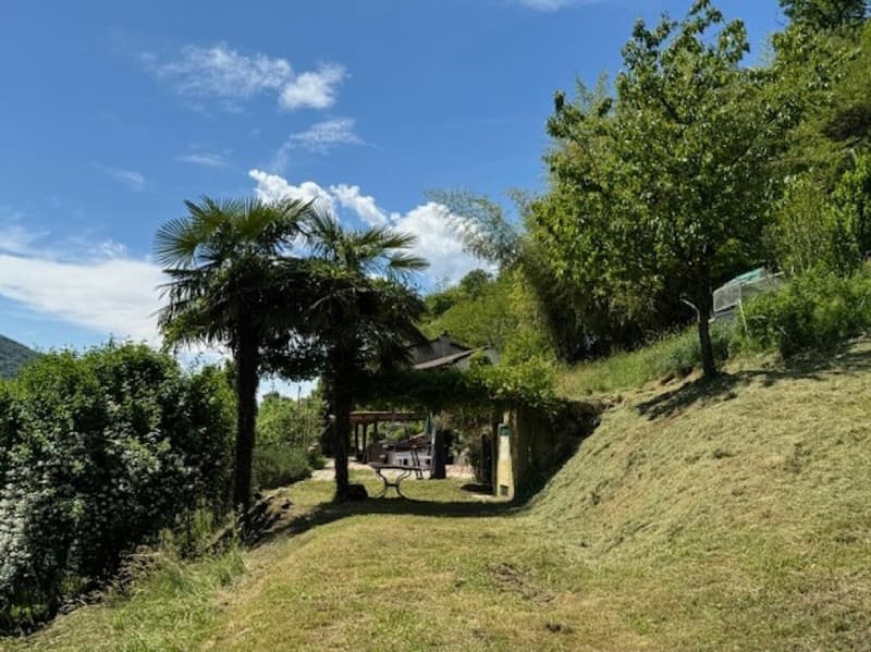 Bed & Breakfast - Immobile con terreno (7)