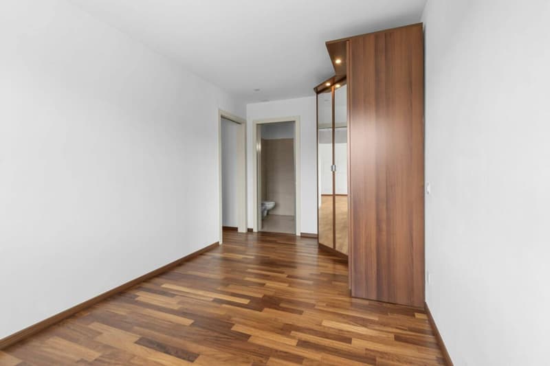 Elegante appartamento 3.5 locali con vista lago a Vernate (15)