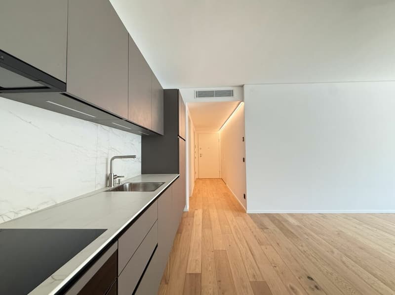 2.5 locali a Paradiso - nuova costruzione (3)