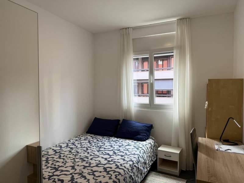 Grazioso 3.5 locali a Lugano (7)