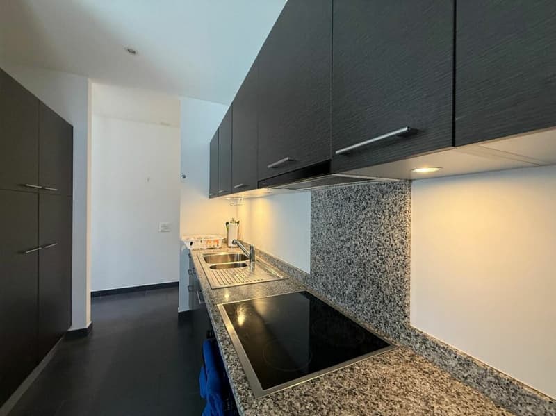 Grazioso 3.5 locali a Lugano (5)
