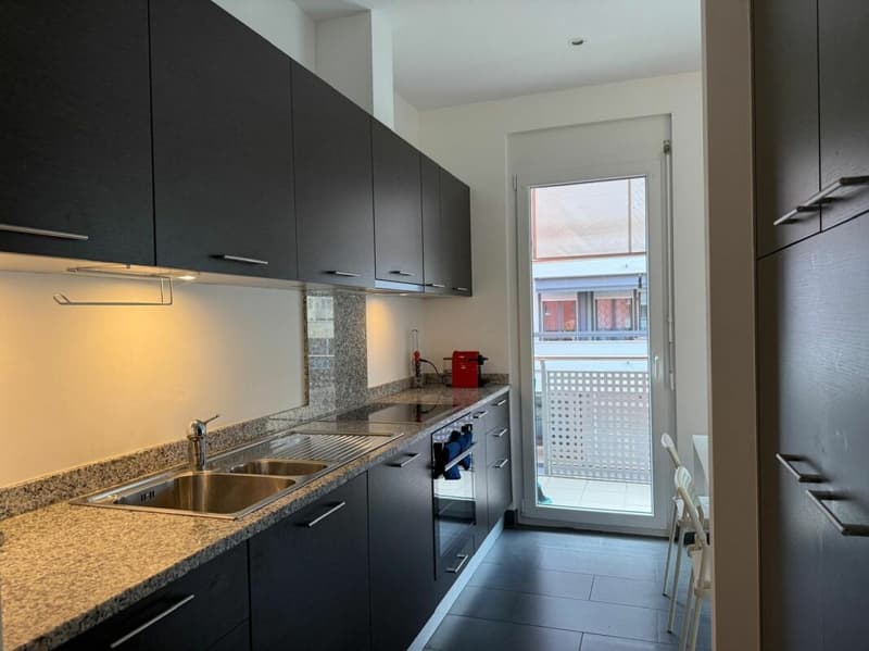 Grazioso 3.5 locali a Lugano (4)