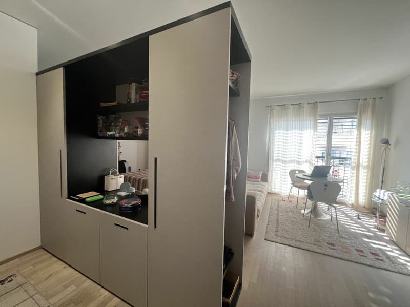 Grazioso 1.5 locali a Lugano (4)