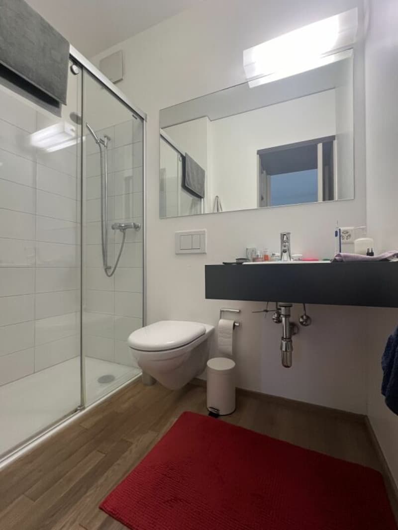 Grazioso 1.5 locali a Lugano (8)