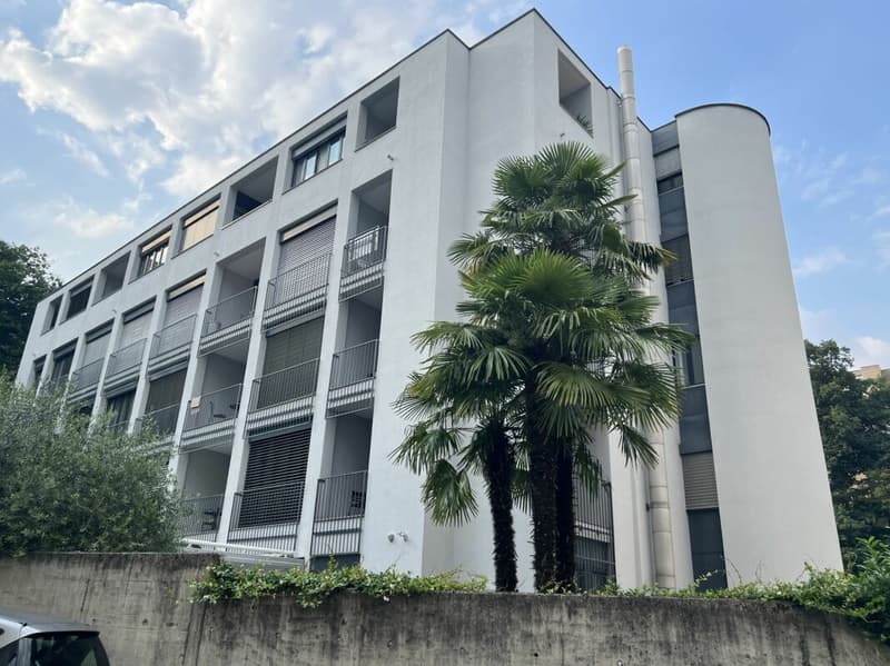 2.5 locali di reddito Lugano città (1)