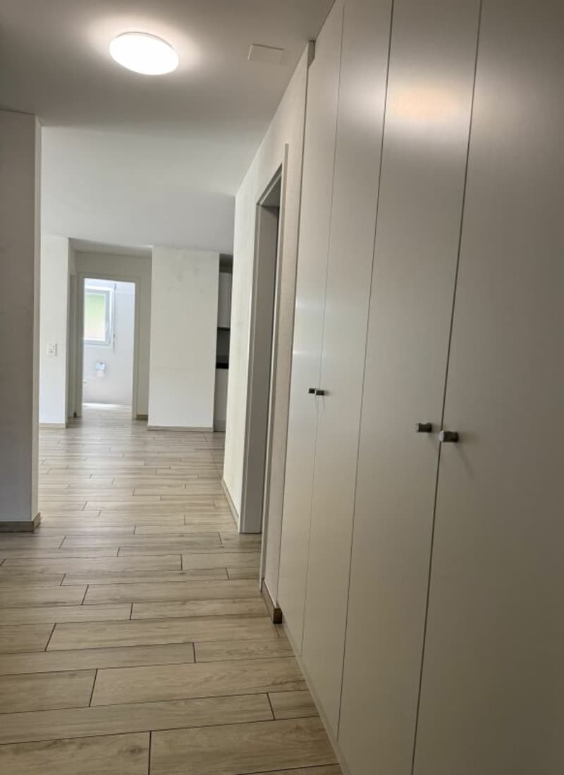 Residenza secondaria, appartamento di 4.5 locali vicino Ascona (7)