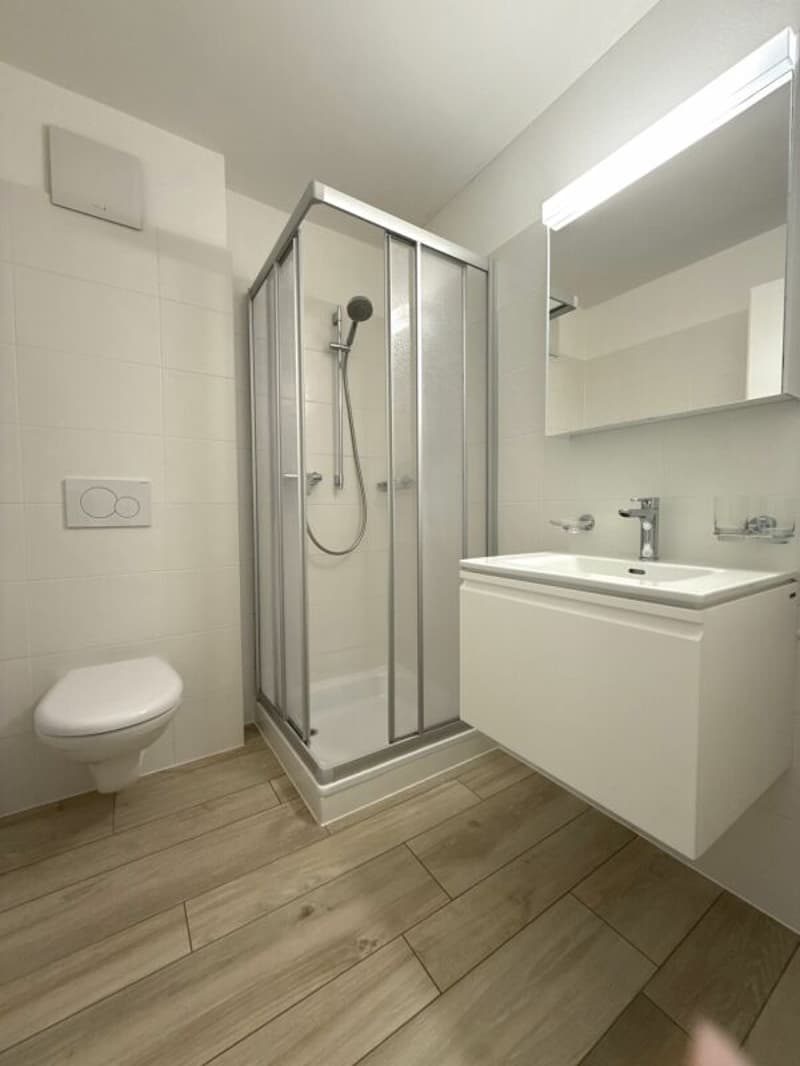 Residenza secondaria, appartamento di 4.5 locali vicino Ascona (6)