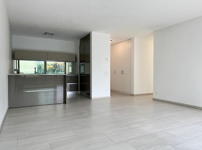 Locarno esclusivo 3.5 locali con spaziosa terrazza e possibilità seconda residenza (2)