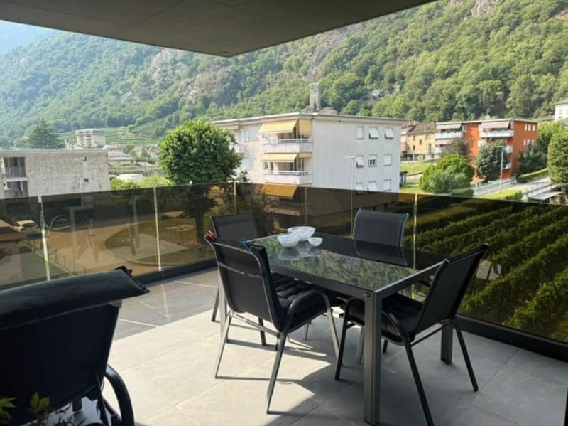 Ampio e moderno 2.5 locali a San Vittore (6)