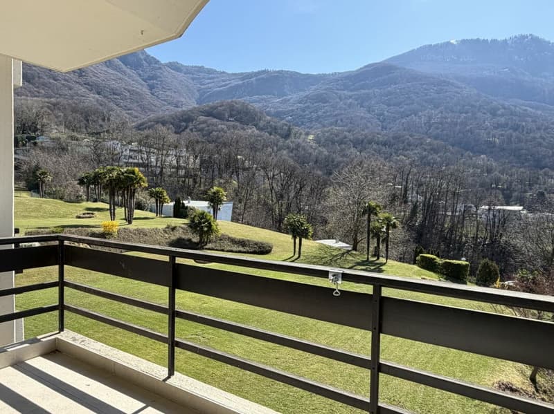 Cadro magnifico 3.5 locali - 2° residenza (10)