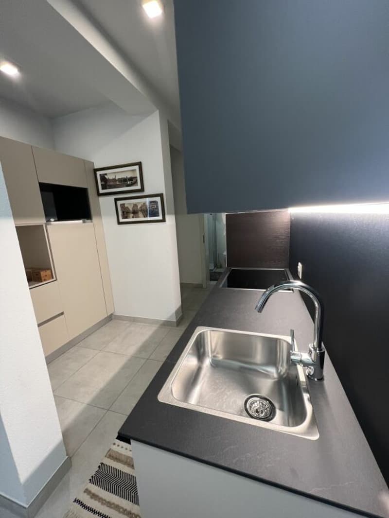 Monolocale arredato Lugano (8)