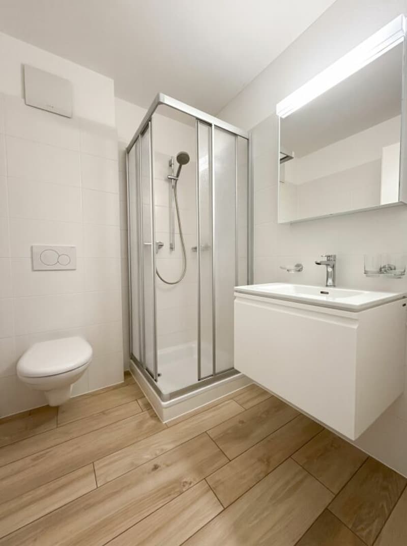 Residenza secondaria, appartamento di 4.5 locali vicino Ascona (6)