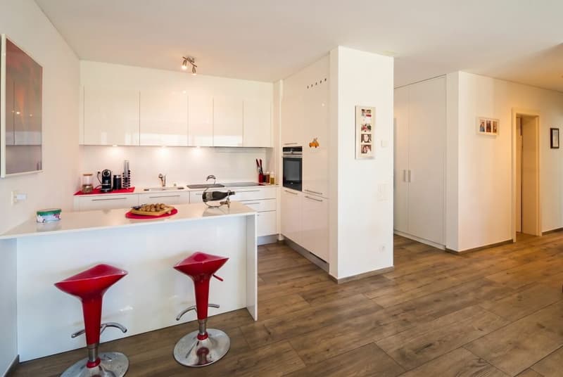 Locarno esclusivo 3.5 locali con spaziosa terrazza (1)