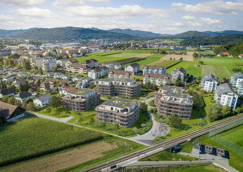 Moderne 2.5 Zi-Wohnungen mit grosszügiger gedeckter Terrasse (3)