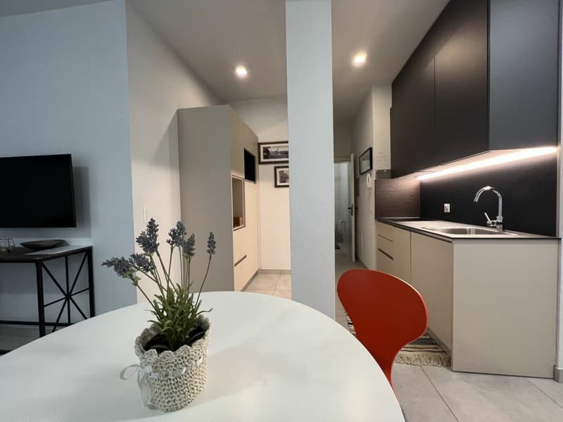 Monolocale arredato Lugano dal 1.02.2027 (7)
