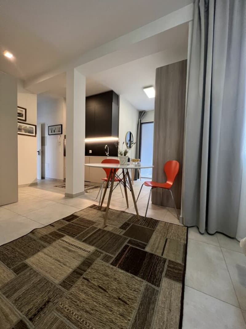 Monolocale arredato Lugano dal 1.02.2027 (4)