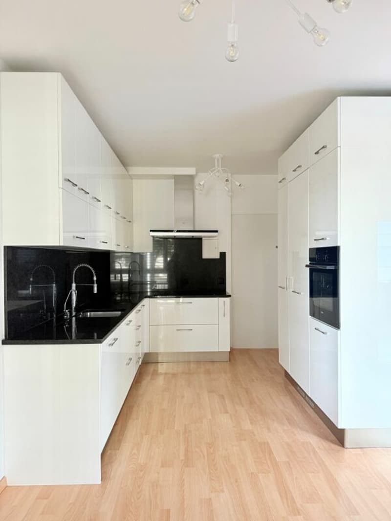 3.5 locali Coldrerio (2)