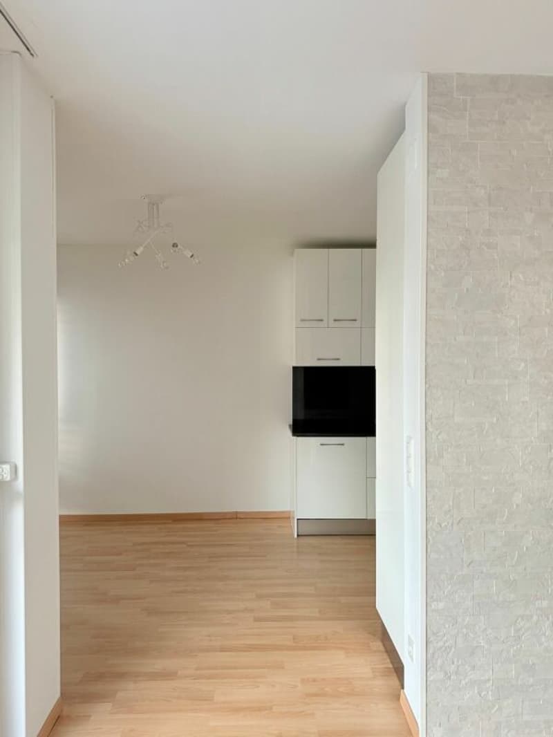 3.5 locali Coldrerio (3)