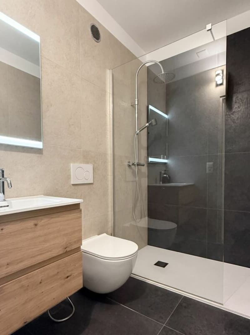 Cadro magnifico 3.5 locali - 2° residenza (6)