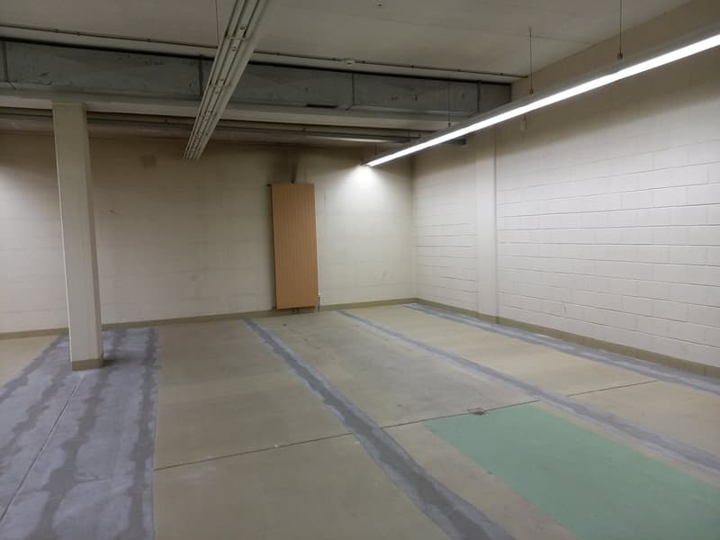 LUGANO - AFFITTASI ARCHIVIO DI 500 MQ (2)