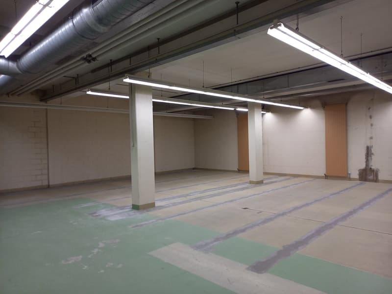 LUGANO - AFFITTASI ARCHIVIO DI 500 MQ (3)