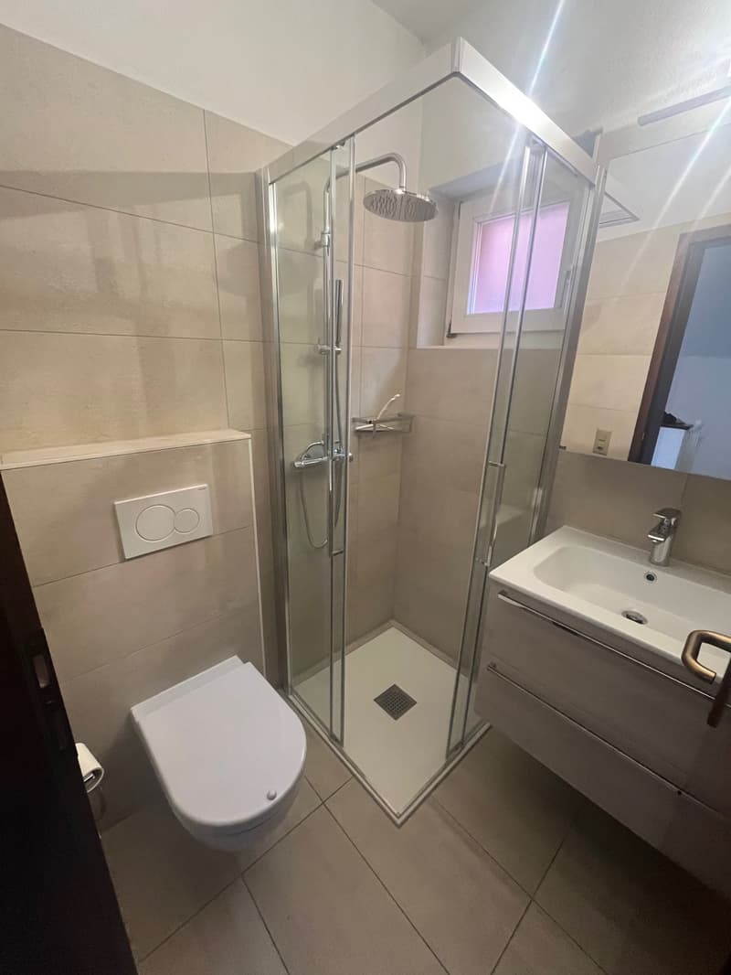Bathroom with a shower, sink, and toilet