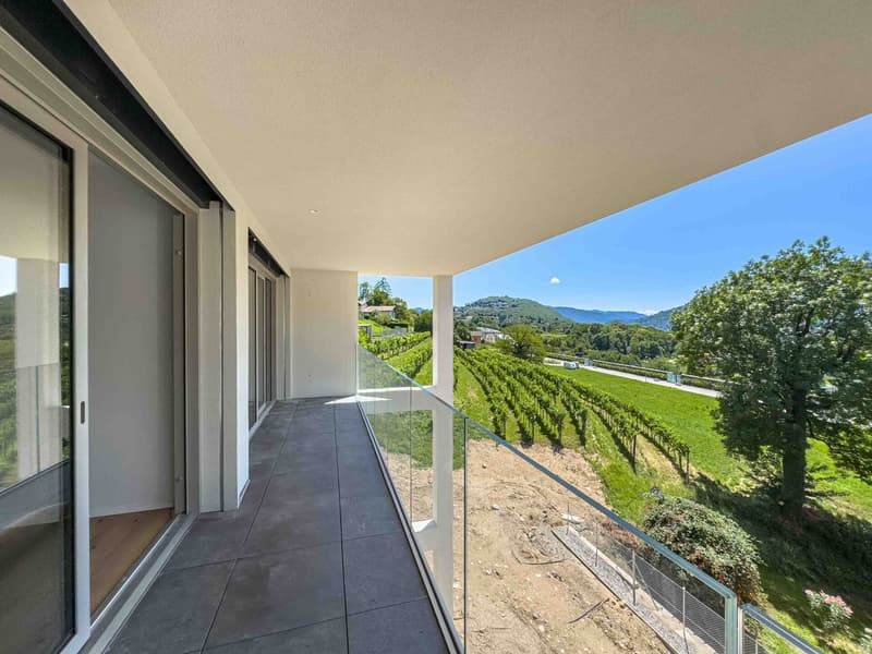 large balcony with glass railing, view of a vineyard, mountains in the distance