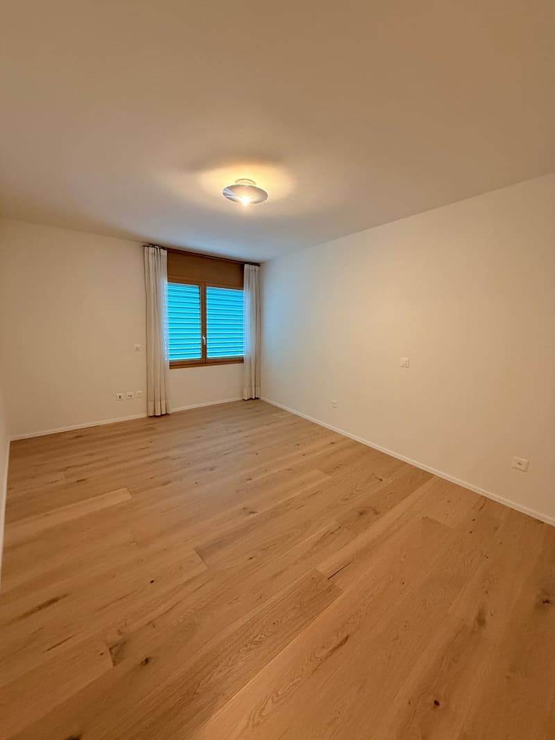 empty room, white walls, wooden floor, window with blinds, ceiling light