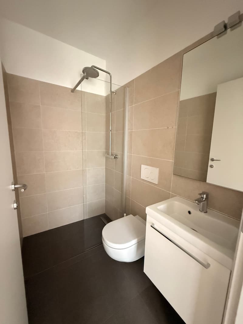A contemporary bathroom with a glass shower, white sink, mirror, and a white toilet
