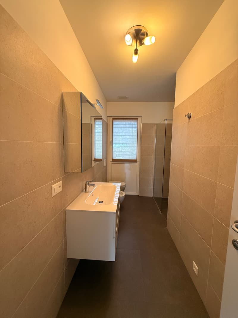 modern bathroom, white sink, glass shower door, tiled flooring, mirror, sink vanity, windows