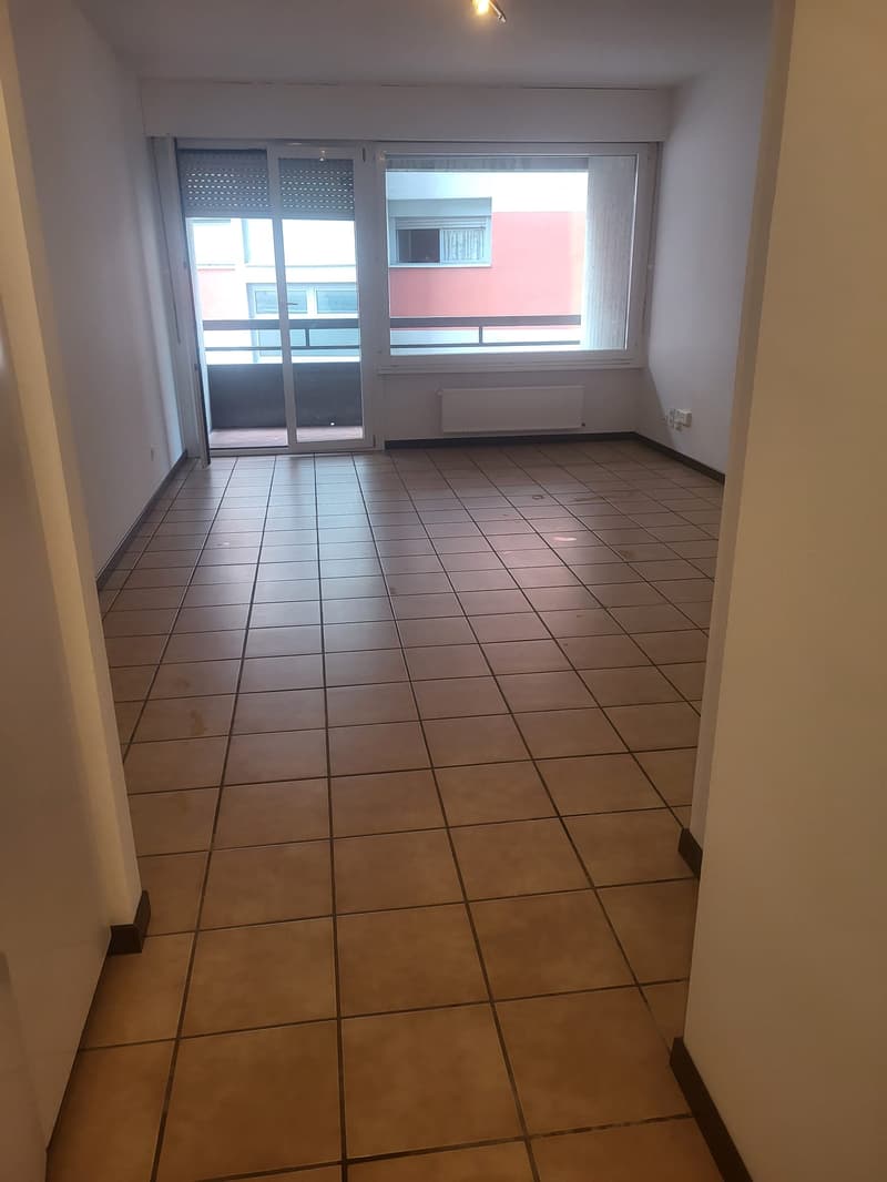 CHIASSO - APPARTAMENTO DI 1.5 LOCALI (4)