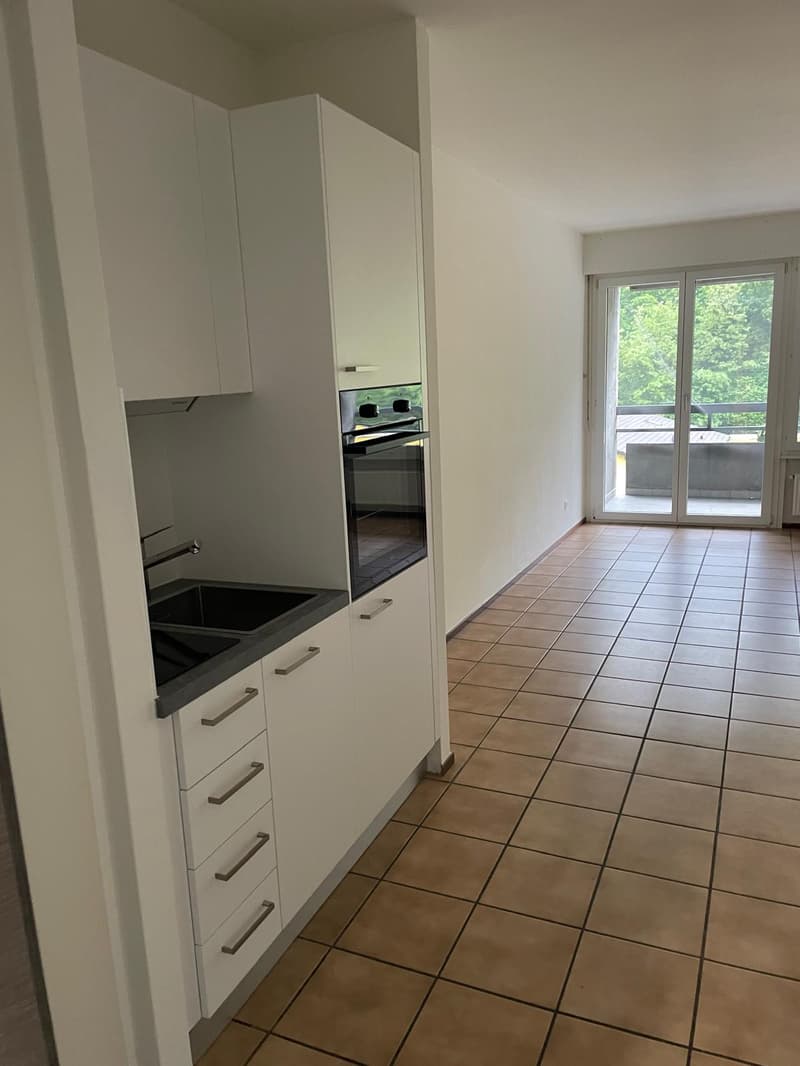 CHIASSO - APPARTAMENTO DI 1.5 LOCALI (3)