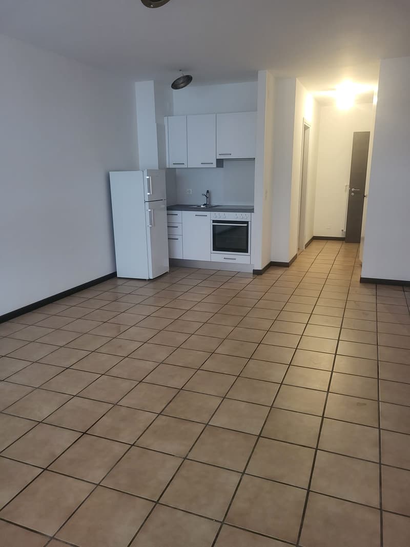 CHIASSO - APPARTAMENTO DI 1.5 LOCALI (3)