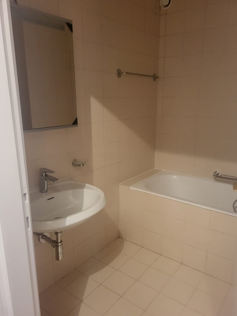 CHIASSO - APPARTAMENTO DI 1.5 LOCALI (5)