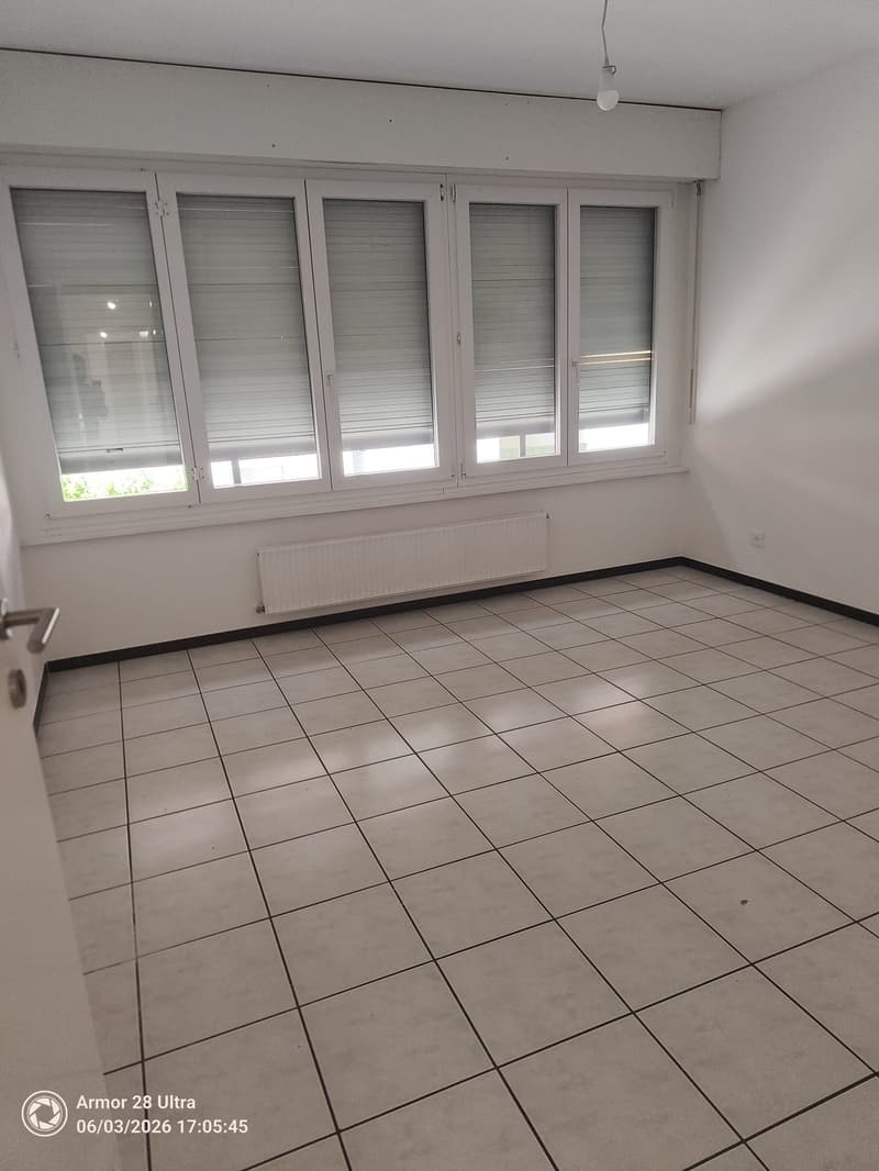 CHIASSO - LUMINOSO APPARTAMENTO DI 5 LOCALI (4)
